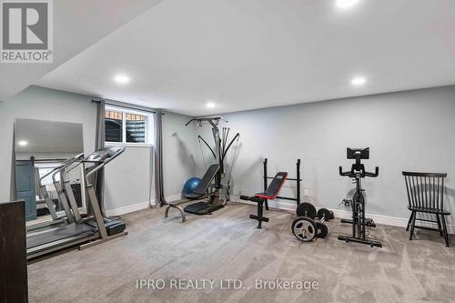 32 Tindall Cres, East Luther Grand Valley, ON - Indoor Photo Showing Gym Room