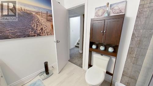 11111 102 Street, Fort St. John, BC - Indoor Photo Showing Bathroom