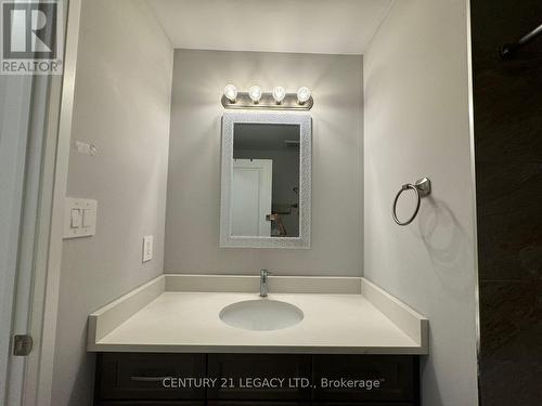 U 24 720 Grey Street St, Brantford, ON - Indoor Photo Showing Bathroom