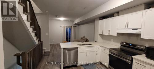 Unit 24 - 720 Grey Street Street, Brantford, ON - Indoor Photo Showing Kitchen With Double Sink