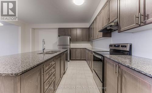 87 Broadacre Dr, Kitchener, ON - Indoor Photo Showing Kitchen With Double Sink With Upgraded Kitchen