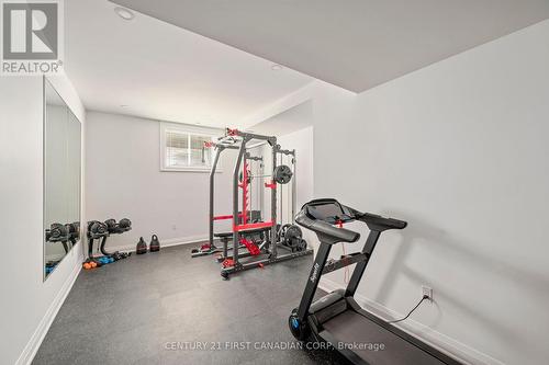 22834 Highbury Avenue N, Middlesex Centre, ON - Indoor Photo Showing Gym Room