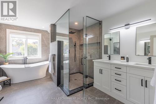 46 Appaloosa Tr, Hamilton, ON - Indoor Photo Showing Bathroom