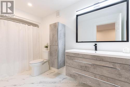 46 Appaloosa Tr, Hamilton, ON - Indoor Photo Showing Bathroom