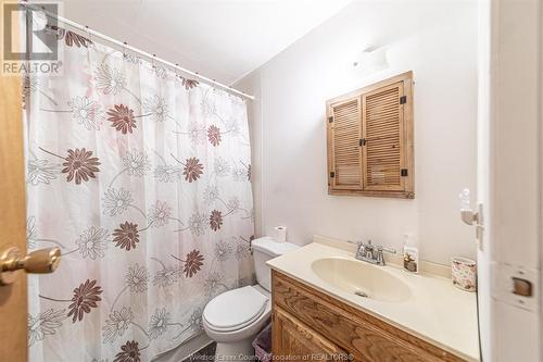 22 Hall Street, Blenheim, ON - Indoor Photo Showing Bathroom
