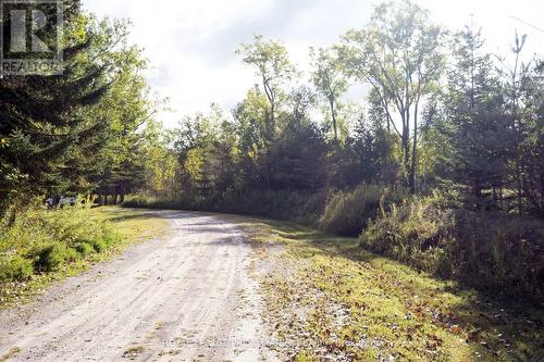 278 Whites Rd, Quinte West, ON - Outdoor With View