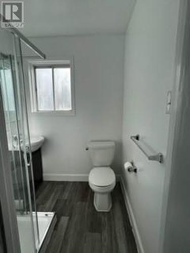 510-510A Second St W Street, Cornwall, ON - Indoor Photo Showing Bathroom
