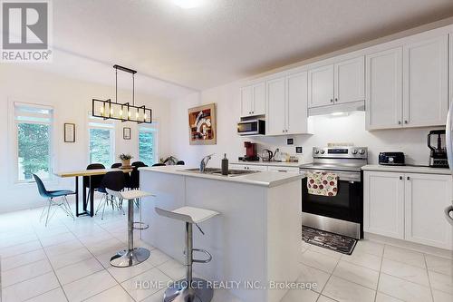 61 Maidens Crescent, Collingwood, ON - Indoor Photo Showing Kitchen