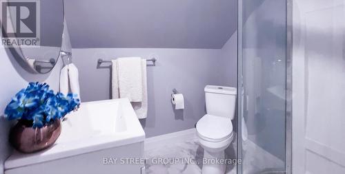 2653 Alexis Road, Windsor, ON - Indoor Photo Showing Bathroom