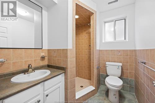 1119 Josephine, Windsor, ON - Indoor Photo Showing Bathroom