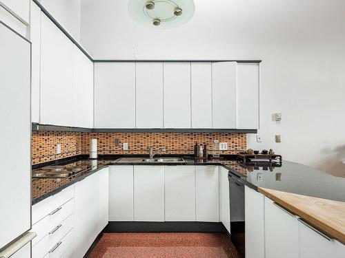 Cuisine - 518-244 Rue Sherbrooke E., Montréal (Ville-Marie), QC - Indoor Photo Showing Kitchen With Double Sink