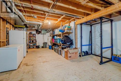 40 Gosses'S And Rogers Crescent, Torbay, NL - Indoor Photo Showing Basement