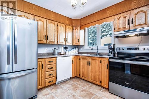 16 Valleyview Crescent, Conception Bay South, NL - Indoor Photo Showing Kitchen With Double Sink