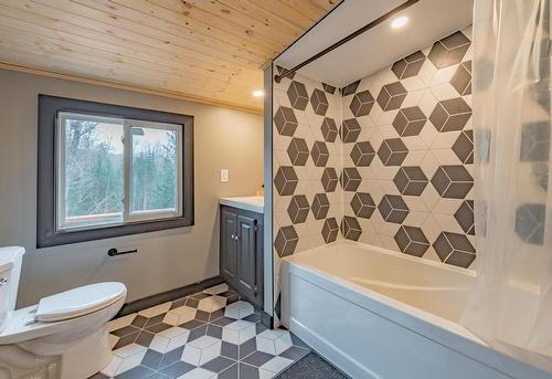 106 Boundary Lane, Kinmount, ON - Indoor Photo Showing Bathroom