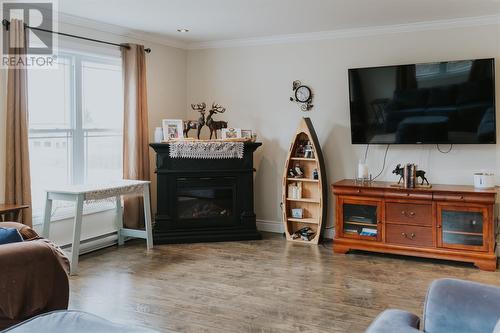 659 Jr Smallwood Boulevard, Gambo, NL - Indoor Photo Showing Living Room With Fireplace