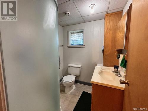 29 Beechglen Road, Perth-Andover, NB - Indoor Photo Showing Bathroom