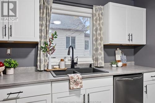 1013 St Pierre, Tecumseh, ON - Indoor Photo Showing Kitchen With Double Sink