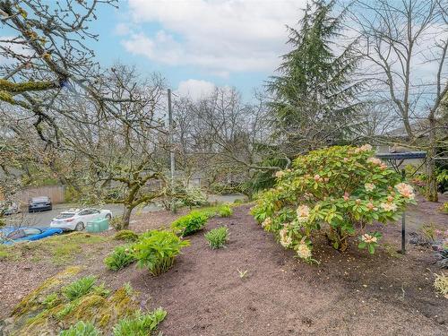 3450 Lord Nelson Way, Saanich, BC - Outdoor