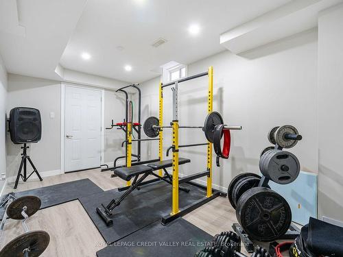 26 Maple Tr, Caledon, ON - Indoor Photo Showing Gym Room