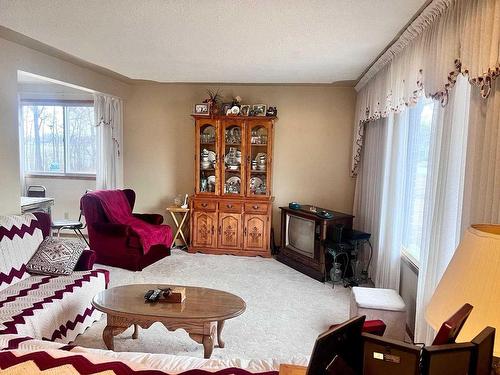 415 Cuyler Street, Thunder Bay, ON - Indoor Photo Showing Living Room