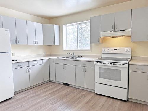 39 King Street, Armstrong Station, ON - Indoor Photo Showing Kitchen With Double Sink