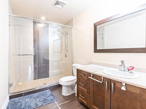 Salle de bains - 604-160 Rue Khalil-Gibran, Montréal (Saint-Laurent), QC - Indoor Photo Showing Bathroom