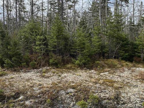 Lot 109 337 Toni Drive, Boutiliers Point, NS 