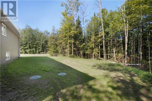 Septic bed location. Treed yard along Storyland Rd. - 2976 Johnston Road, Renfrew, ON - Outdoor