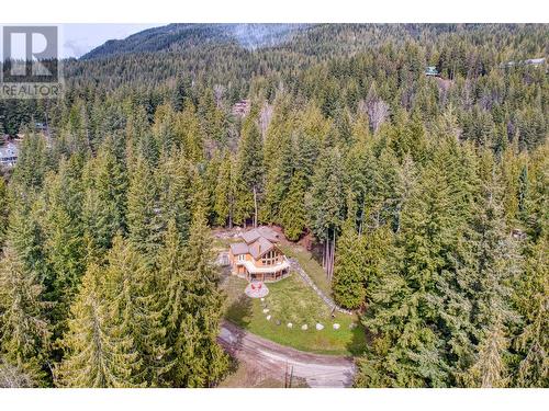 7889 Gardiner Road, Anglemont, BC - Outdoor With View