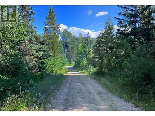 Lot 1 Dl2593 Horsefly-Quesnel Lake Road, Horsefly, BC 