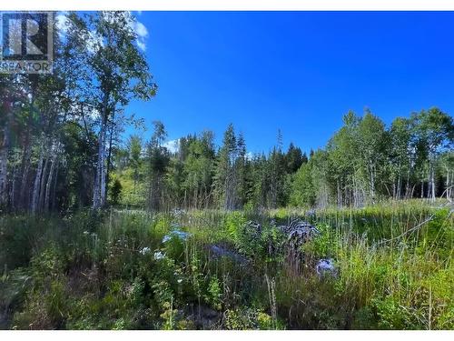 Lot 1 Dl2593 Horsefly-Quesnel Lake Road, Horsefly, BC 