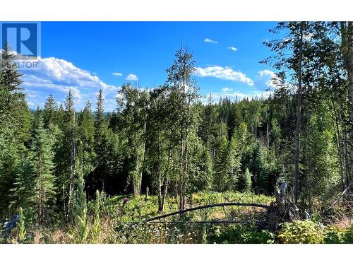 Lot 1 Dl2593 Horsefly-Quesnel Lake Road, Horsefly, BC 