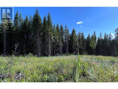 Lot 1 Dl2593 Horsefly-Quesnel Lake Road, Horsefly, BC 