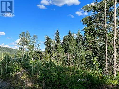 Lot 1 Dl2593 Horsefly-Quesnel Lake Road, Horsefly, BC 