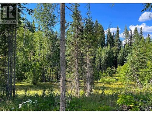 Lot 1 Dl2593 Horsefly-Quesnel Lake Road, Horsefly, BC 