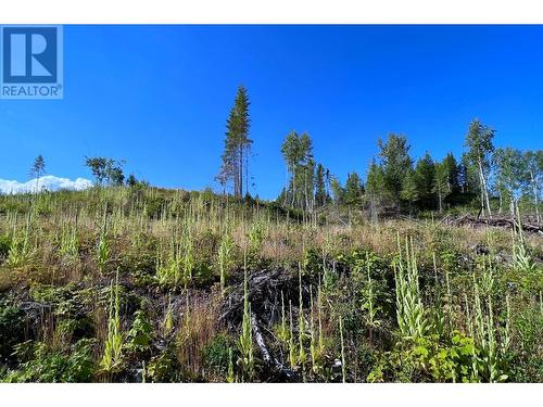 Lot 1 Dl2593 Horsefly-Quesnel Lake Road, Horsefly, BC 