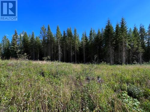 Lot 1 Dl2593 Horsefly-Quesnel Lake Road, Horsefly, BC 