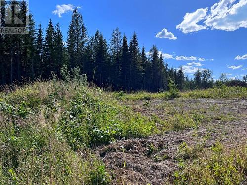 Lot 1 Dl2593 Horsefly-Quesnel Lake Road, Horsefly, BC 