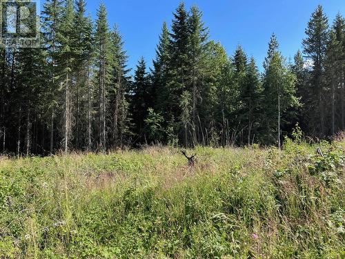 Lot 1 Dl2593 Horsefly-Quesnel Lake Road, Horsefly, BC 