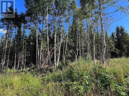 Lot 1 Dl2593 Horsefly-Quesnel Lake Road, Horsefly, BC 