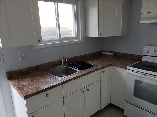 20 Hillview Road N|Unit #Lower, St. Catharines, ON - Indoor Photo Showing Kitchen With Double Sink