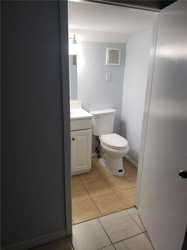 20 Hillview Road N|Unit #Lower, St. Catharines, ON - Indoor Photo Showing Bathroom