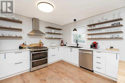 25 Somerville Rd, Halton Hills, ON - Indoor Photo Showing Kitchen