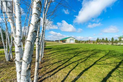 434424 4 Line, Amaranth, ON - Outdoor With View