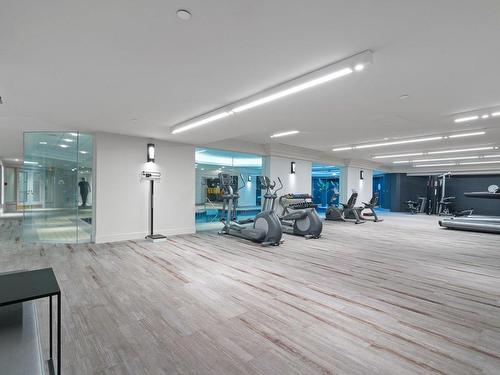 Exercise room - 1005-100 Rue Berlioz, Montréal (Verdun/Île-Des-Soeurs), QC - Indoor