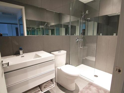 Salle de bains - 302-2727 Rue St-Patrick, Montréal (Le Sud-Ouest), QC - Indoor Photo Showing Bathroom