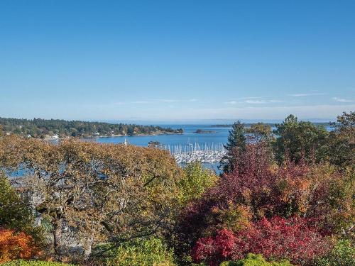 3550 Beach Dr, Oak Bay, BC - Outdoor With View