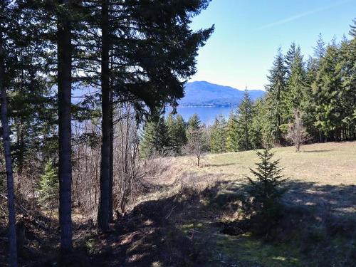 2589 Airstrip Road, North Shuswap, BC - Outdoor With View