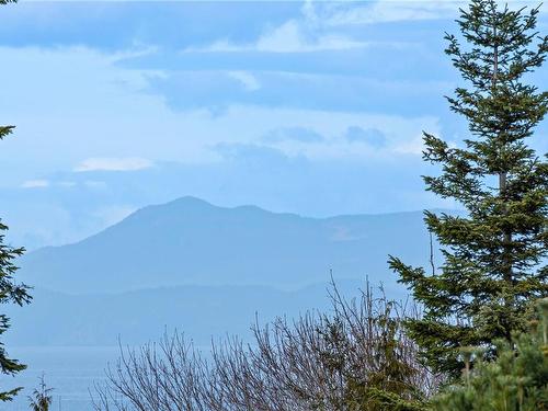 6068 Breonna Dr, Nanaimo, BC - Outdoor With View