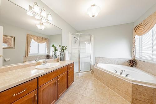 135 Theodore Drive, Hamilton, ON - Indoor Photo Showing Bathroom